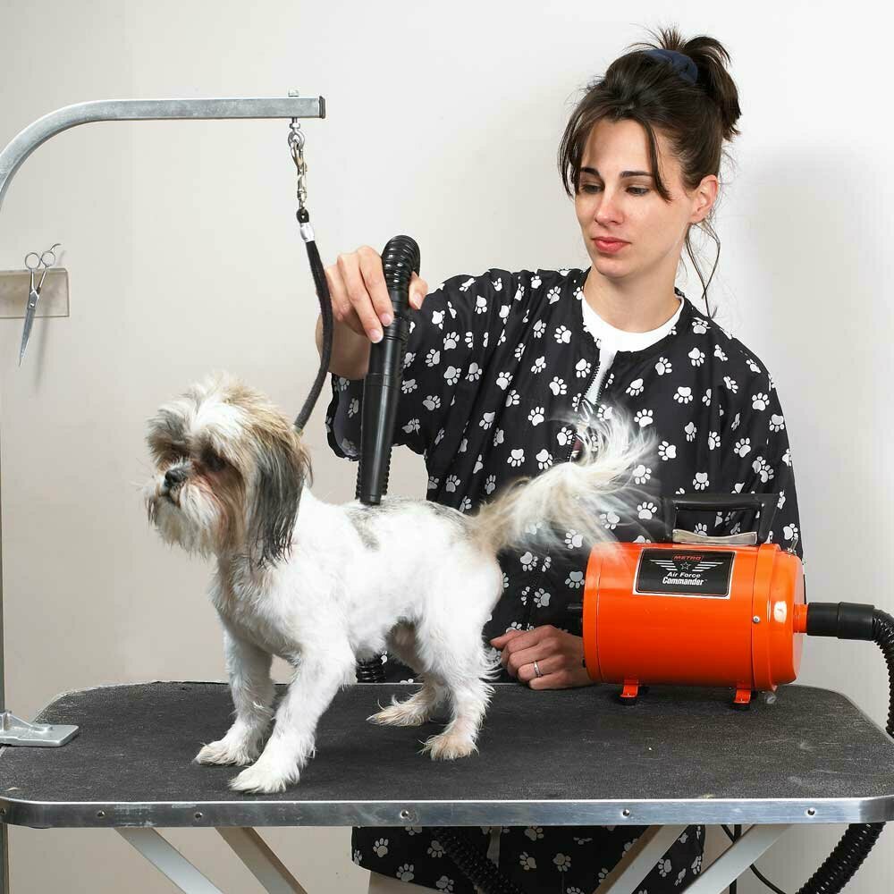 Table blower by Metro dog dryer