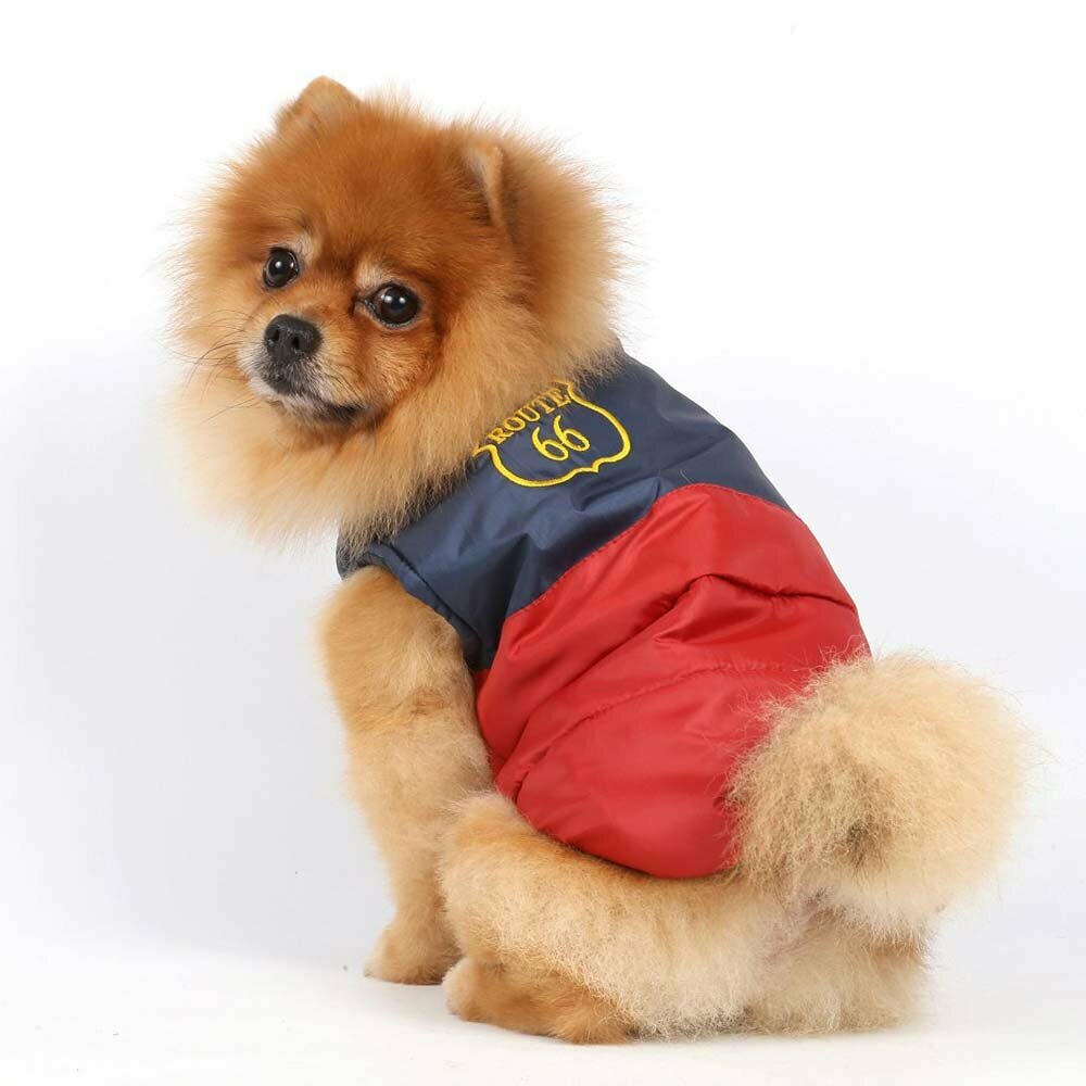 Cuddly Warm dog clothes - garb of Onlinezoo