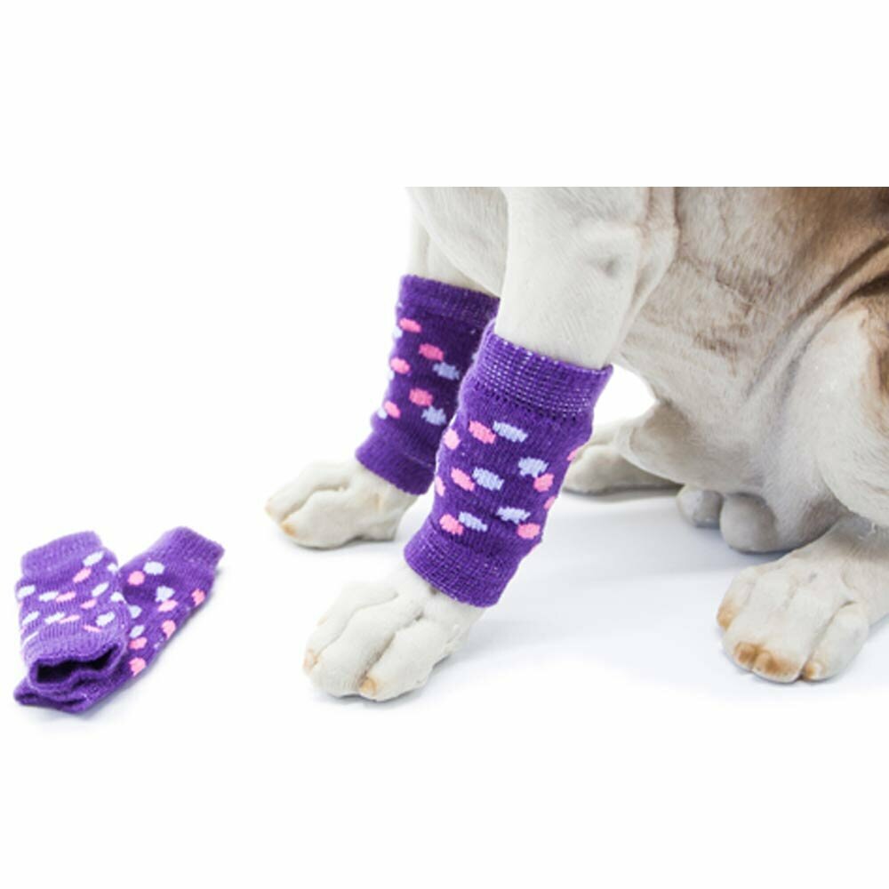 Dog leggings purple with polka dots