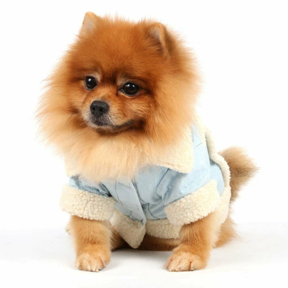 Lined dog Jacket jeans - warm dog clothes