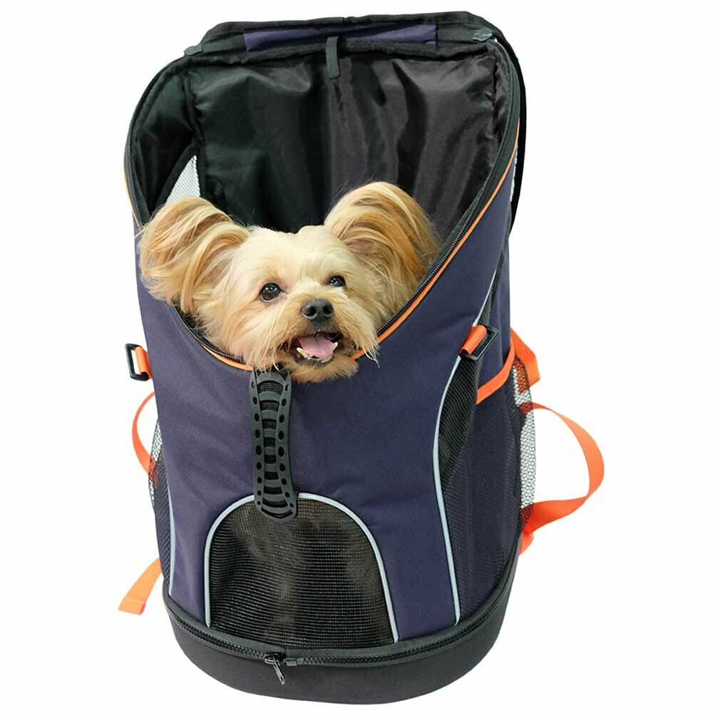 Backpack for dogs as dog carrier