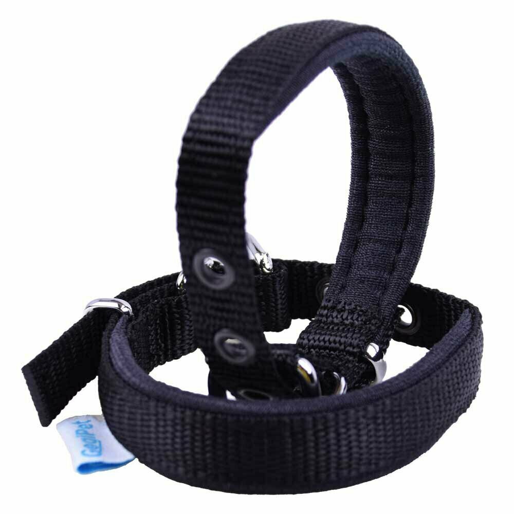 Padded GogiPet® comfort Super Premium dog collar black