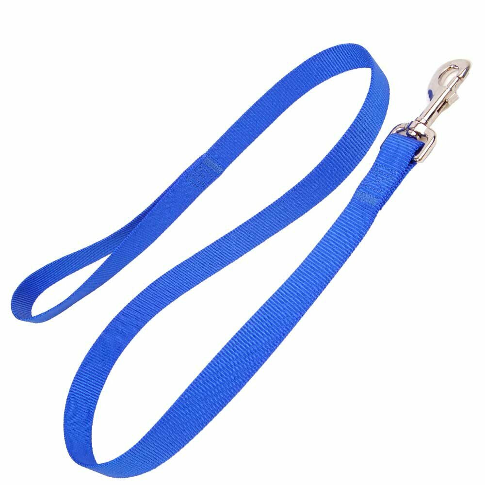 Blue dog leash Nylon extra durable
