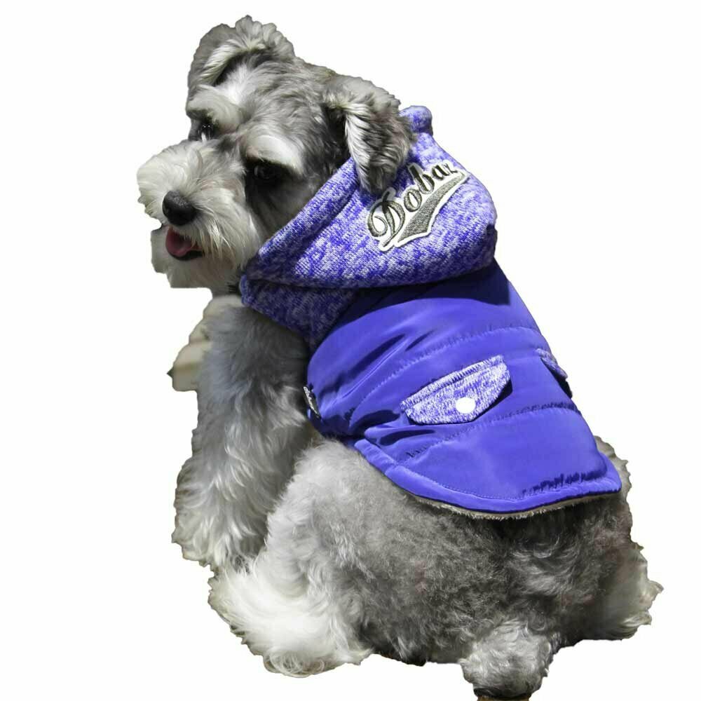 High quality, warm dog clothes - blue anorak