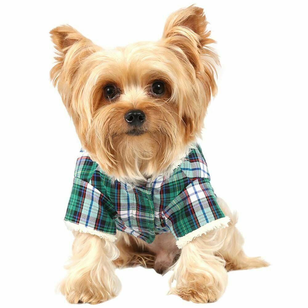 warm dog clothes - green checkered dog jacket