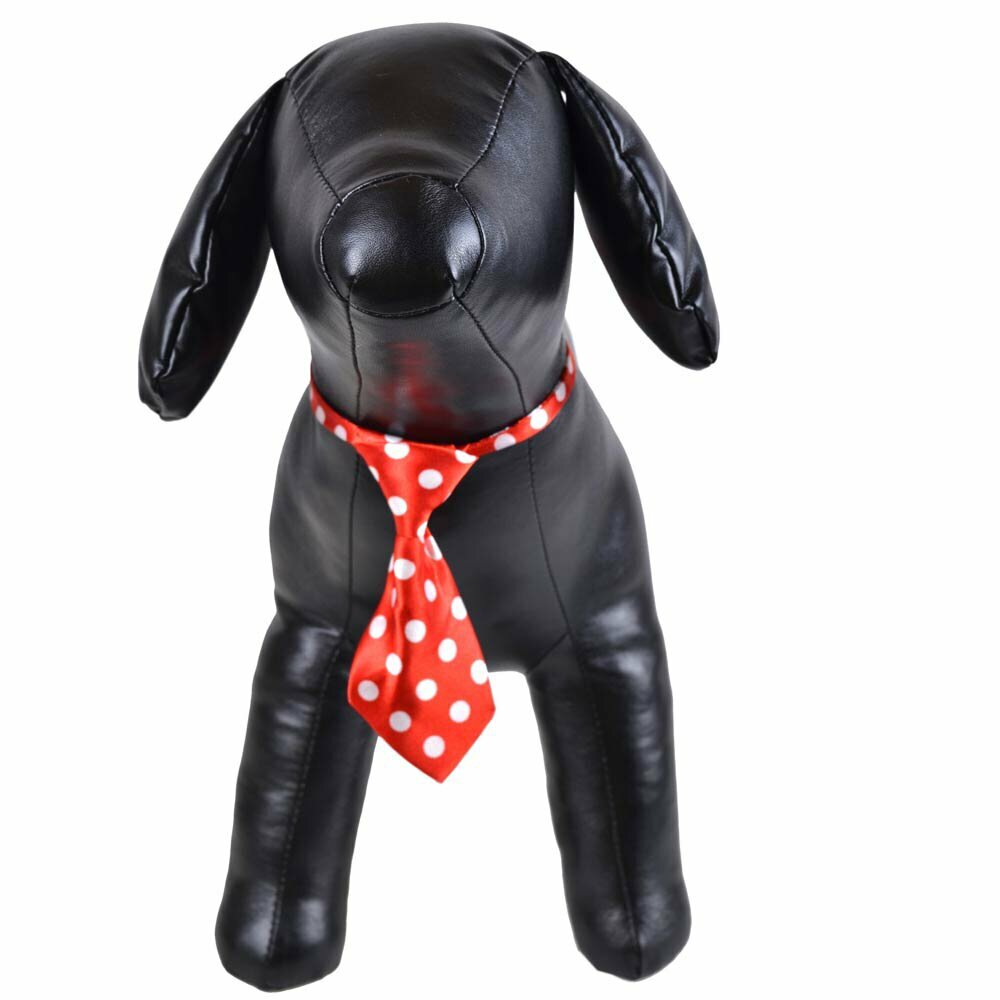 Necktie for dogs red dotted