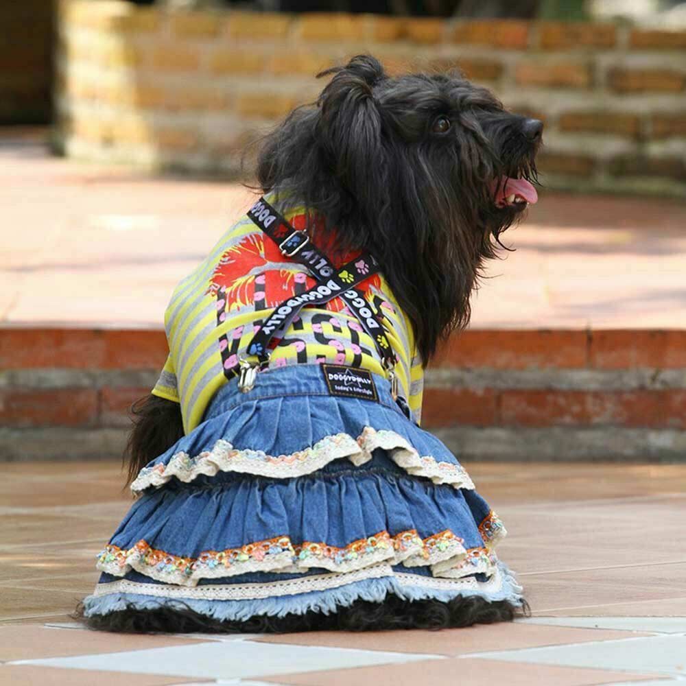 Modern skirt made of jeans for dogs