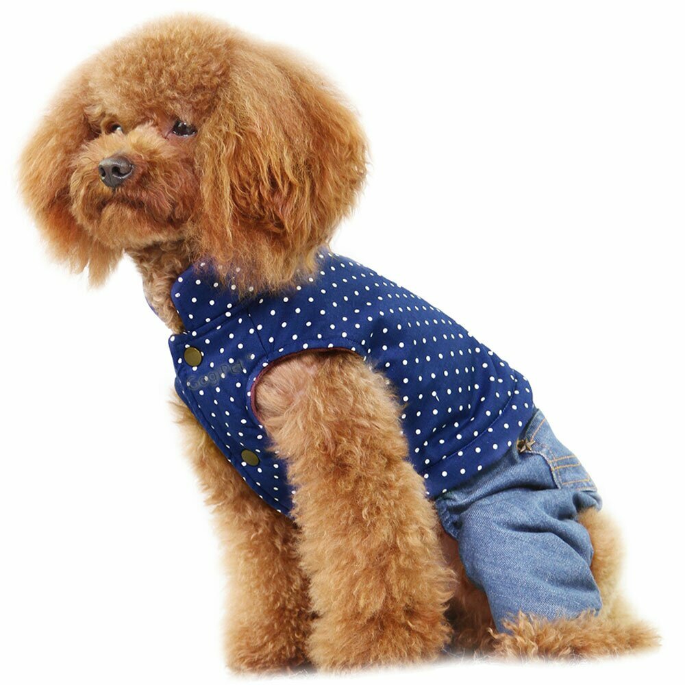Warm dog coat by GogiPet dog clothes top with Jeans fashions