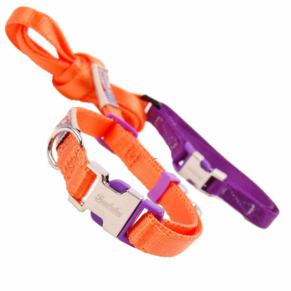Premium nylon fabric dog collar with clip closure orange