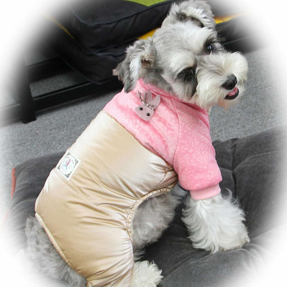 Dog clothing for the winter - Dog coat