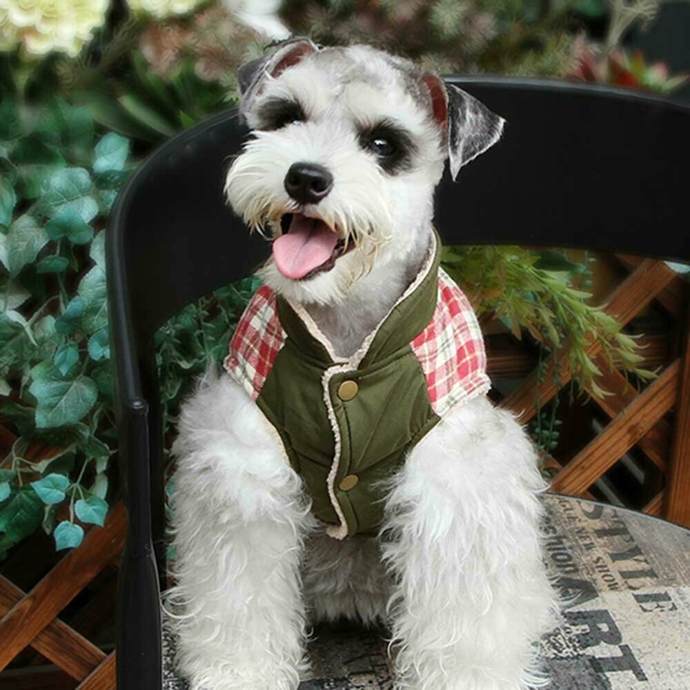 Warm dog clothing - Green dog jacket