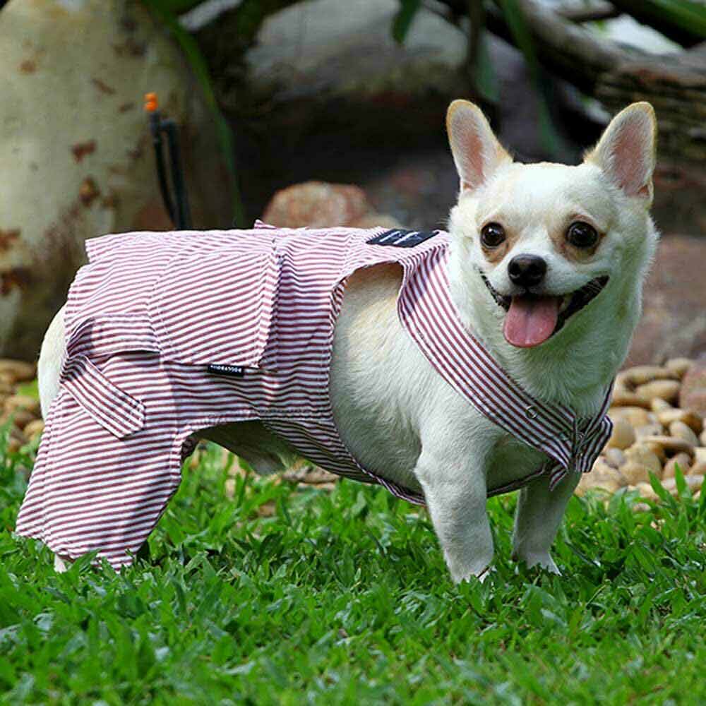 One-piece suit for dogs - modern dog robe
