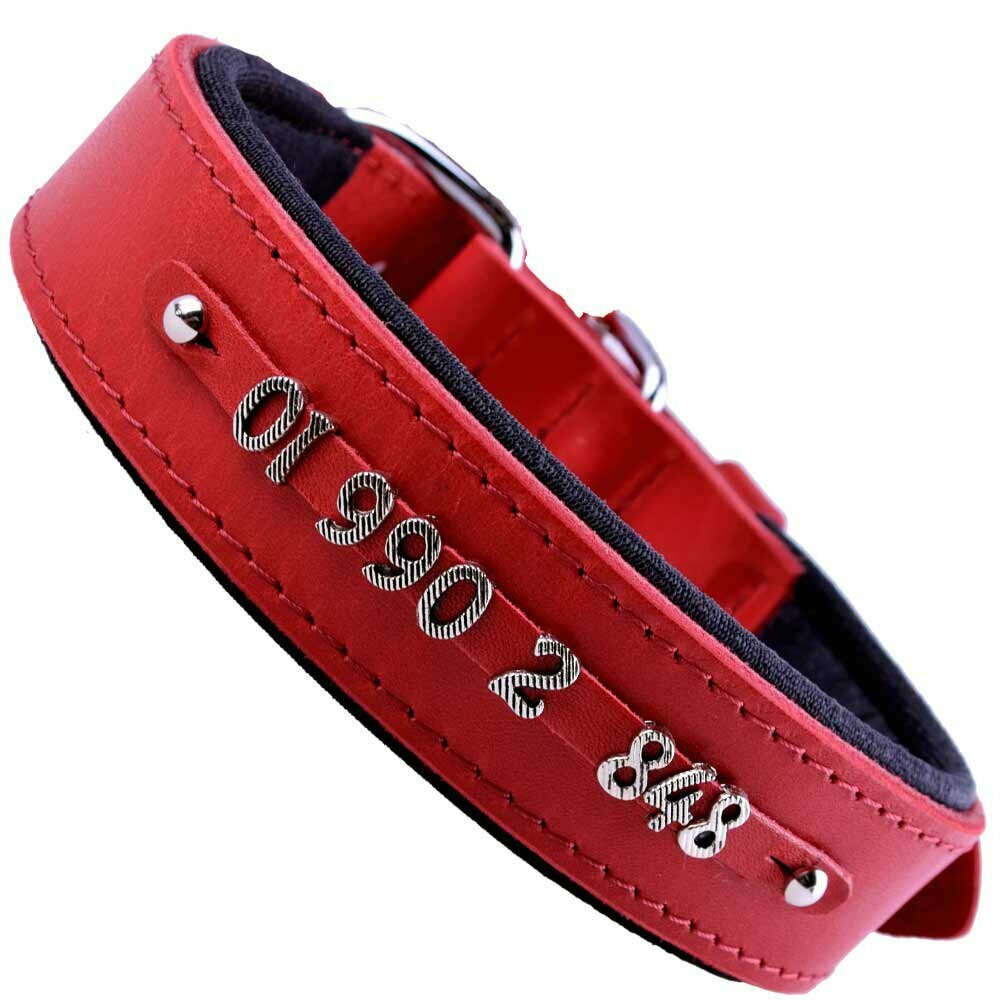 Genuine leather dog collar for numbers and letters