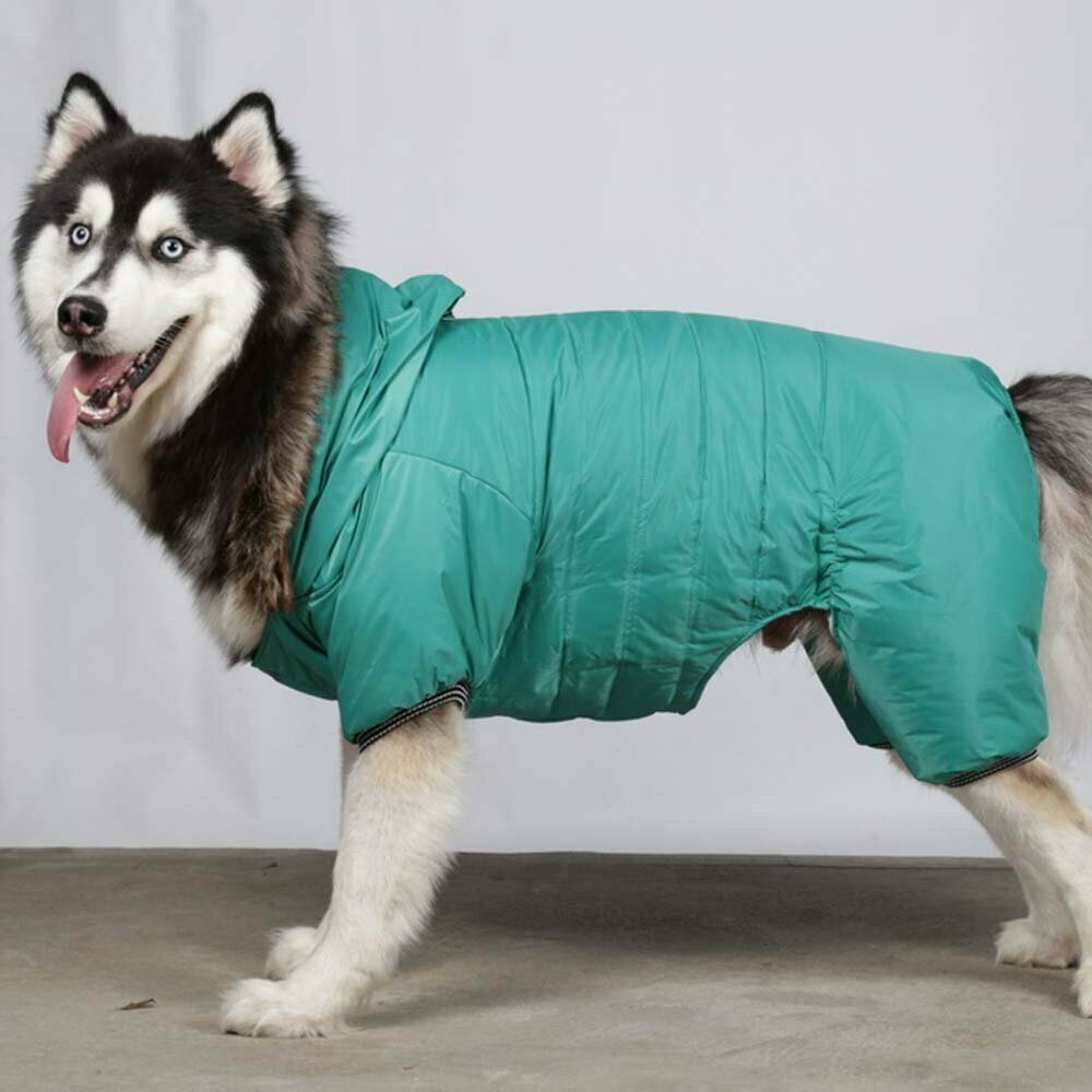 Warm snowsuit by DoggyDolly BD209 Big Dog