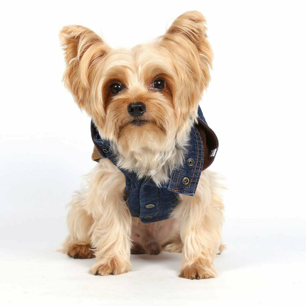 Winter fashions for dogs at Onlinezoo - warm Jeans dog jacket