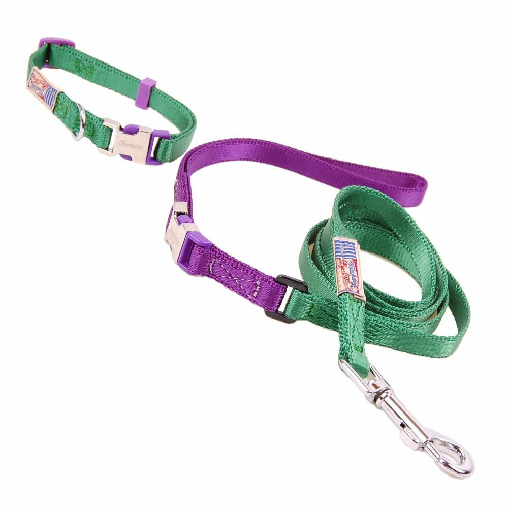 Green dog collar with free dog leash set 