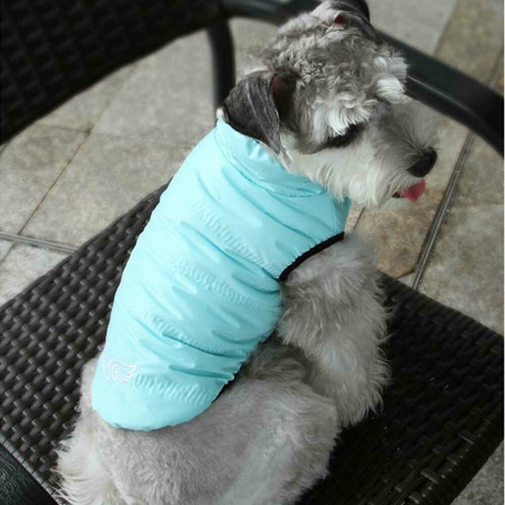 Blue dog anorak for the winter