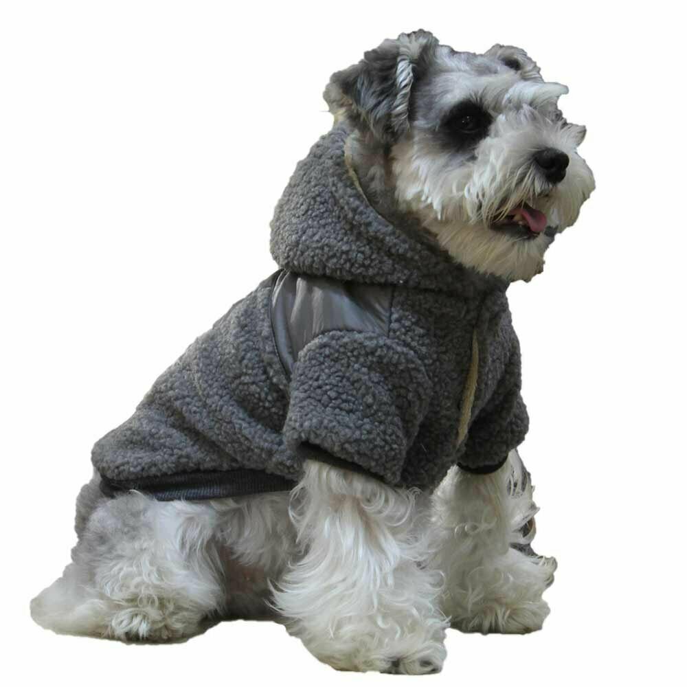 Very warm dog clothing for the winter of GogiPet
