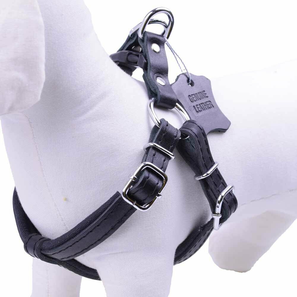 Leather harness for dogs black