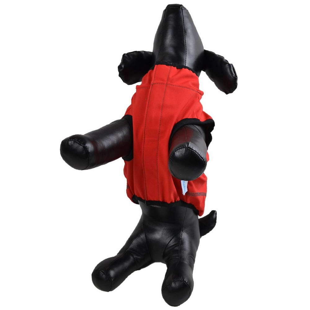 Comfortable dog clothing for on the go