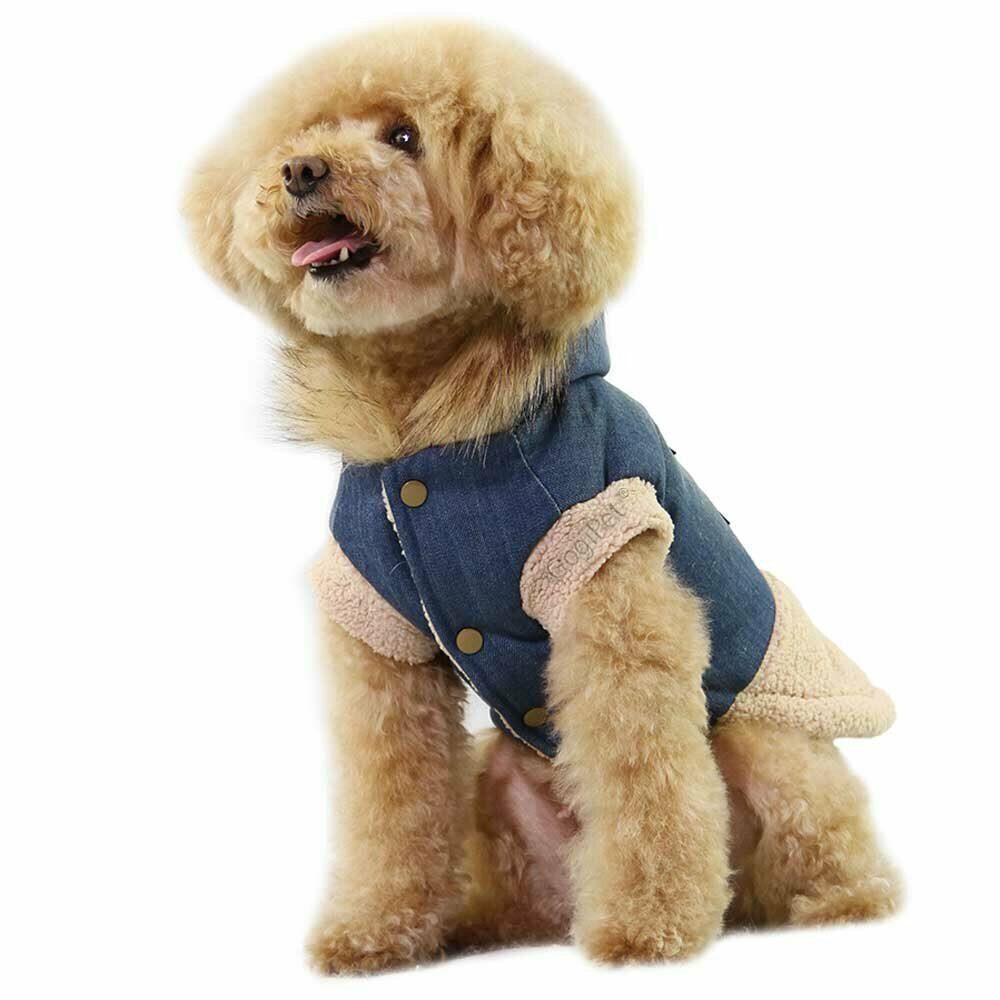 Very modern high quality dog coat made of Denim Jeans with sheepskin lining