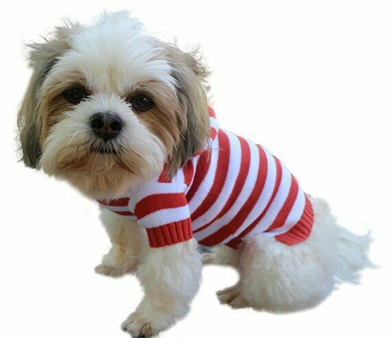 dogs jumper Austria - warm dogs jumper red white red