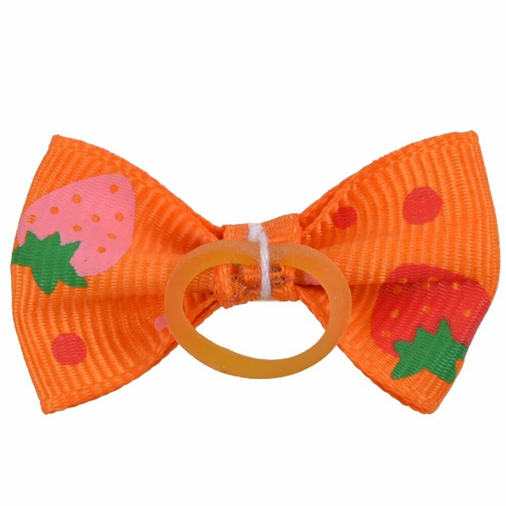Dog hair bow rubberring orange - with strawberries by GogiPet