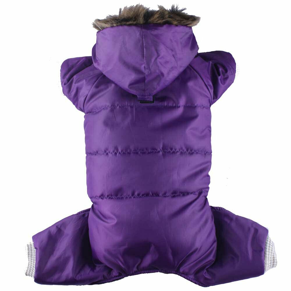 purple dog anorak for large dogs with 4 legs of DoggyDolly