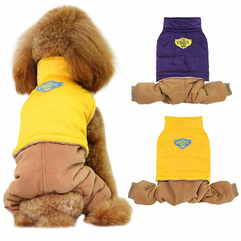 Warm dog clothes by GogiPet dog fashions Europe