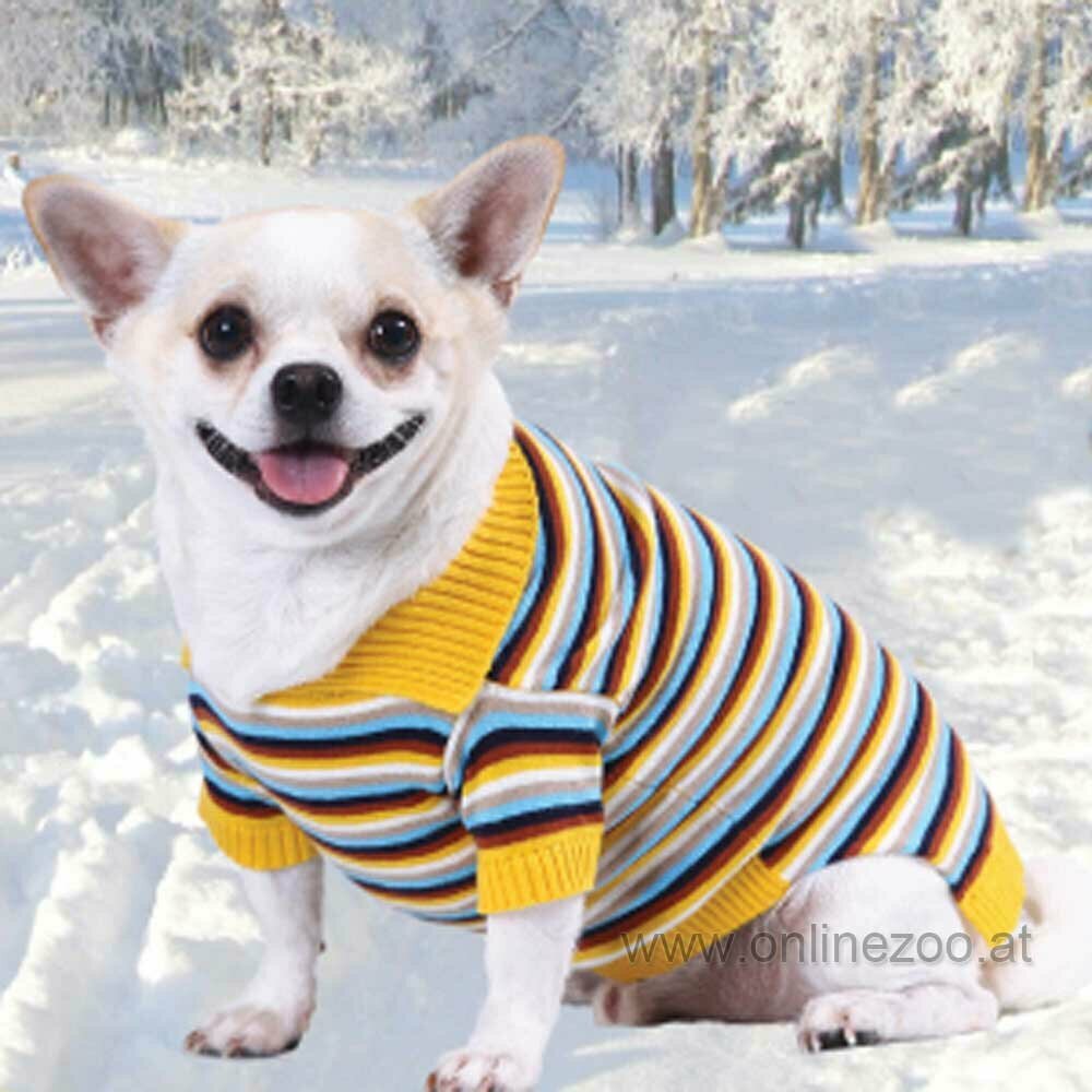 Winter sweaters for dogs of DoggyDolly W270