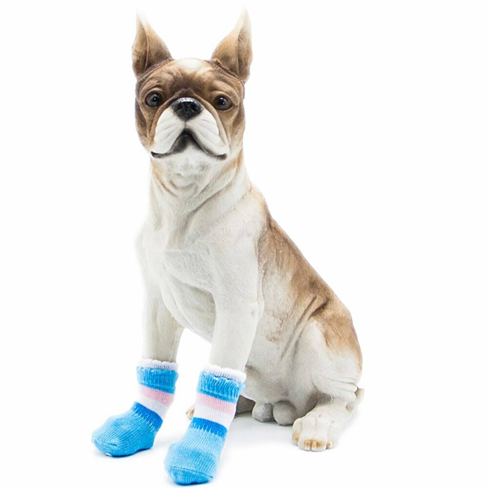 GogiPet dog socks light blue