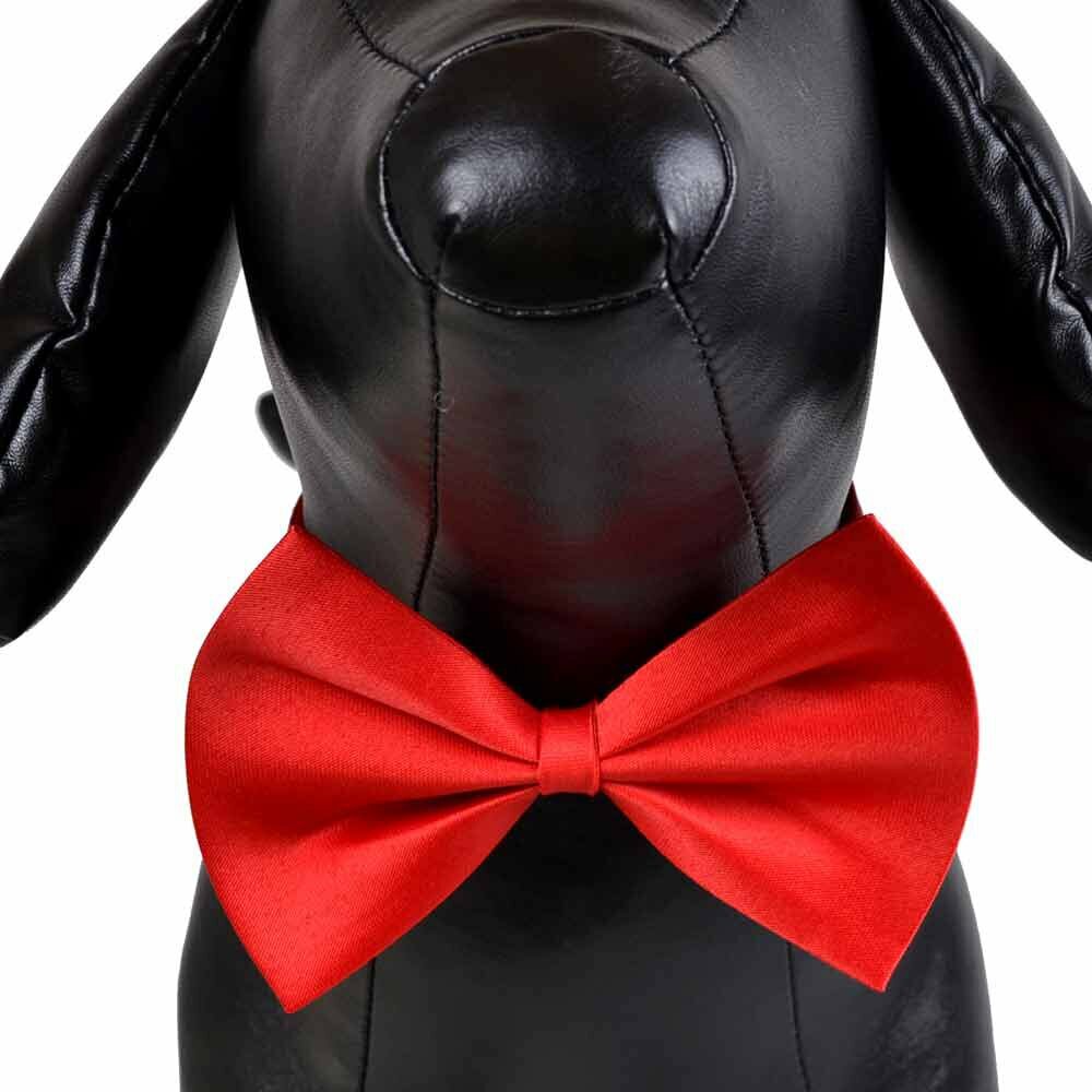 Prominent red dog bow tie for the fashionable dog of today