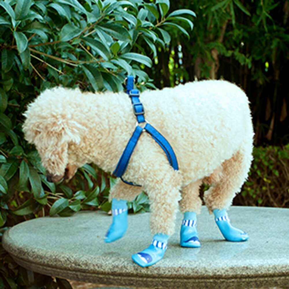 Funny dog shoes - lovely dog rubber boots with whale