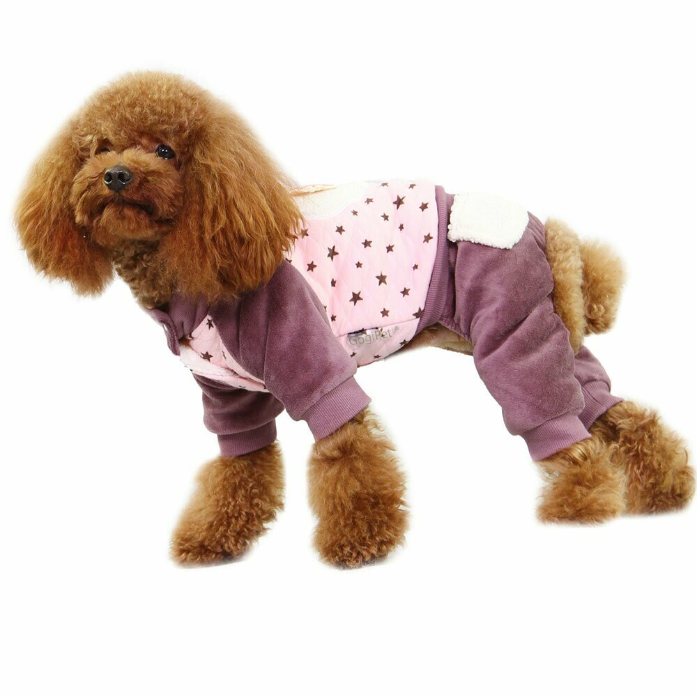 Soft and warm dog clothing from GogiPet Love Pink dog clothes are jogger for winter
