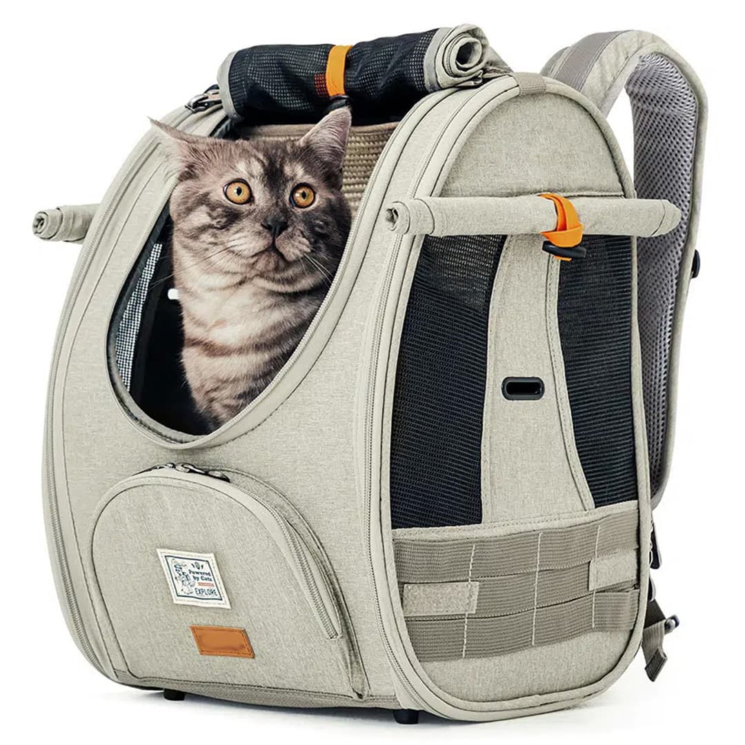 Cat backpack for air travel