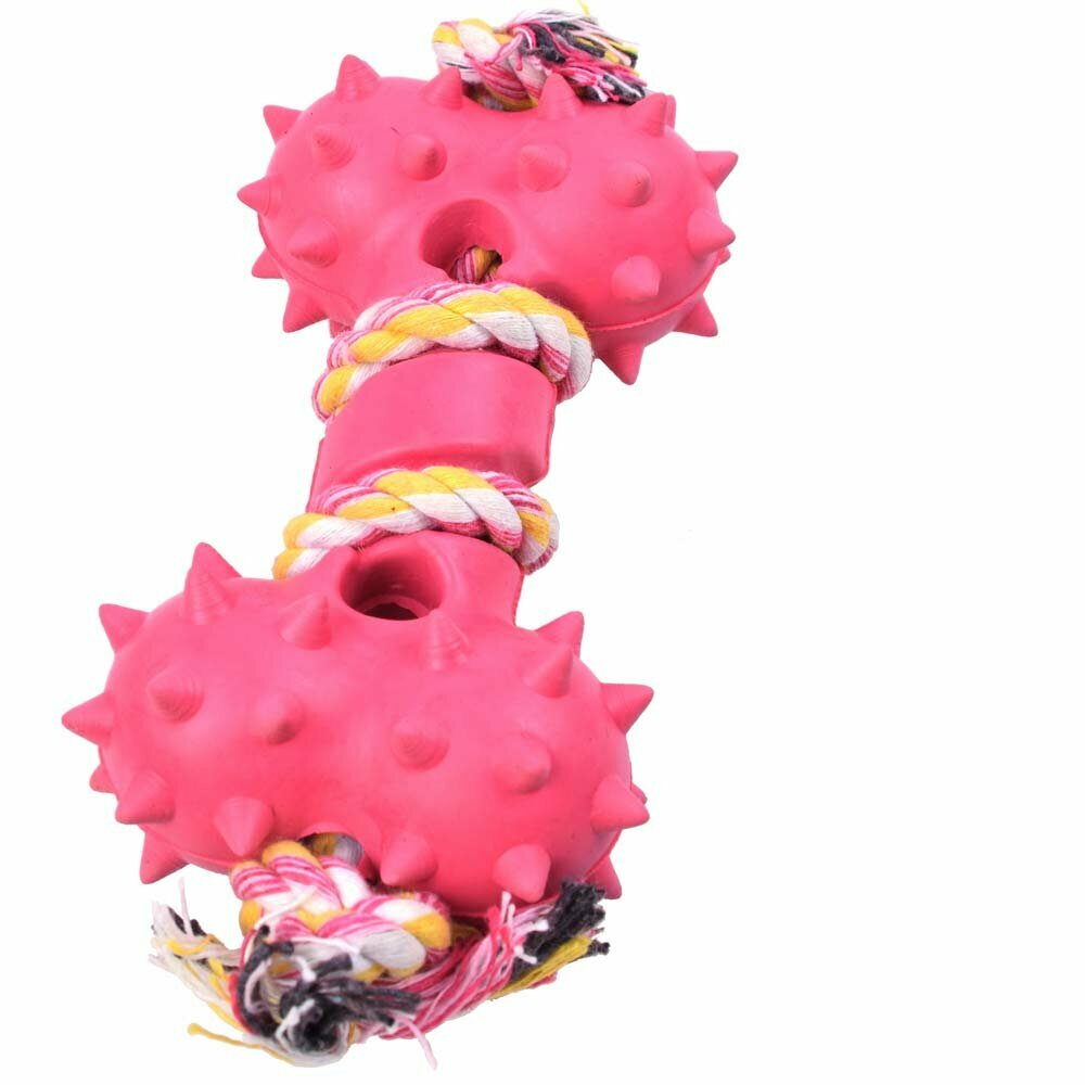 GogiPet dog toy for a cheap price