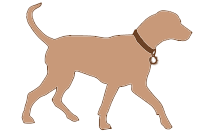 Size chart for Swarovski dog collars