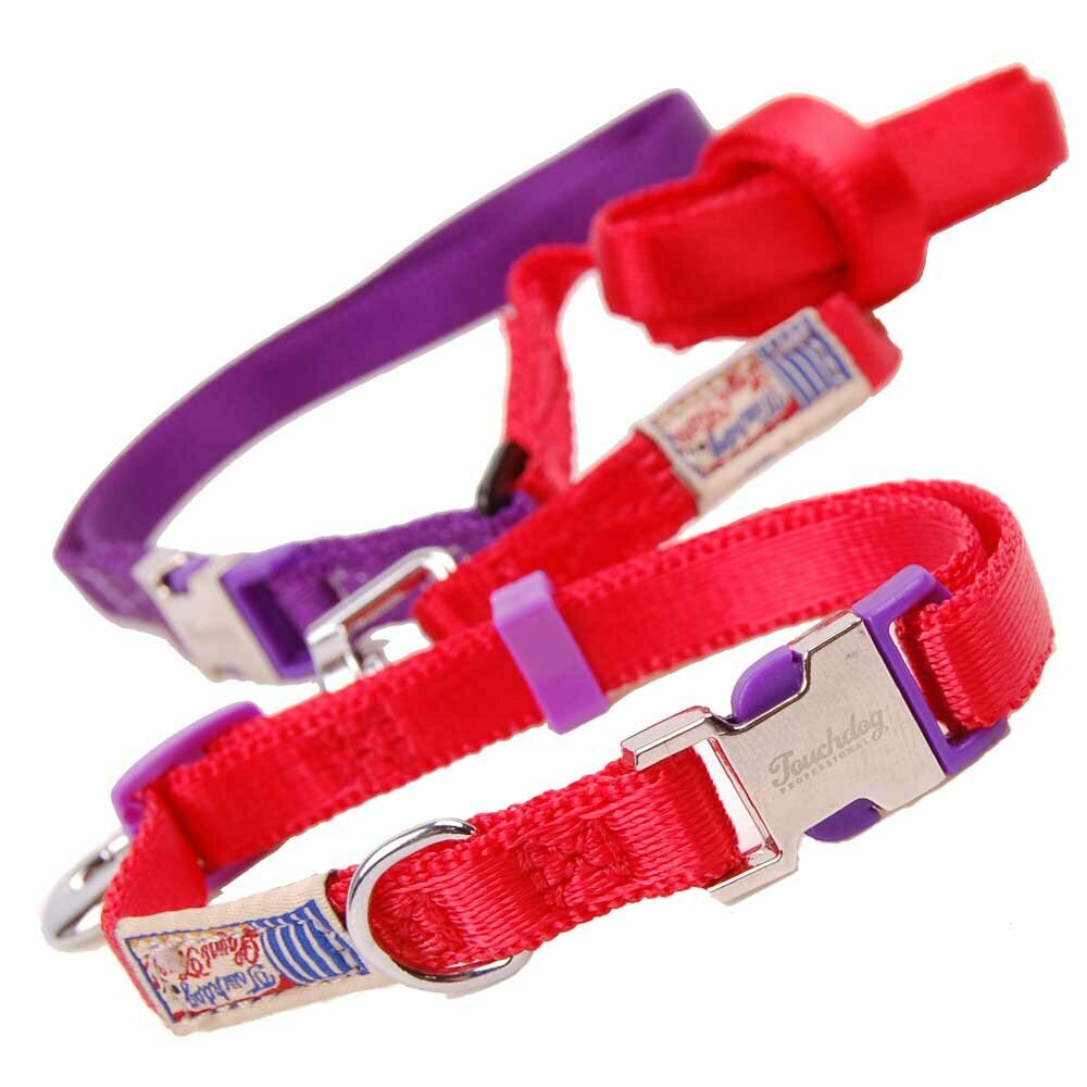 Premium dog collar with free dog leash red M