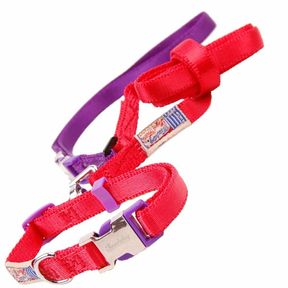 High quality dog collar with free dog leash red