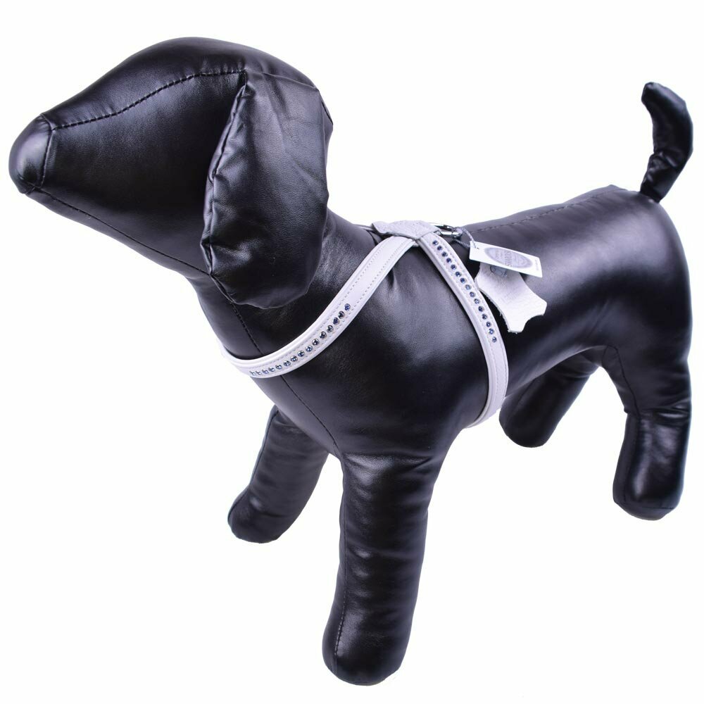 Swarovski Sapphire dog harness from GogiPet® 