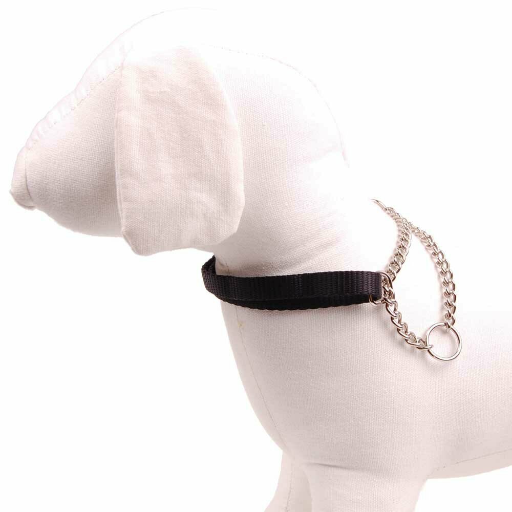 black dog martingale collar Nylon