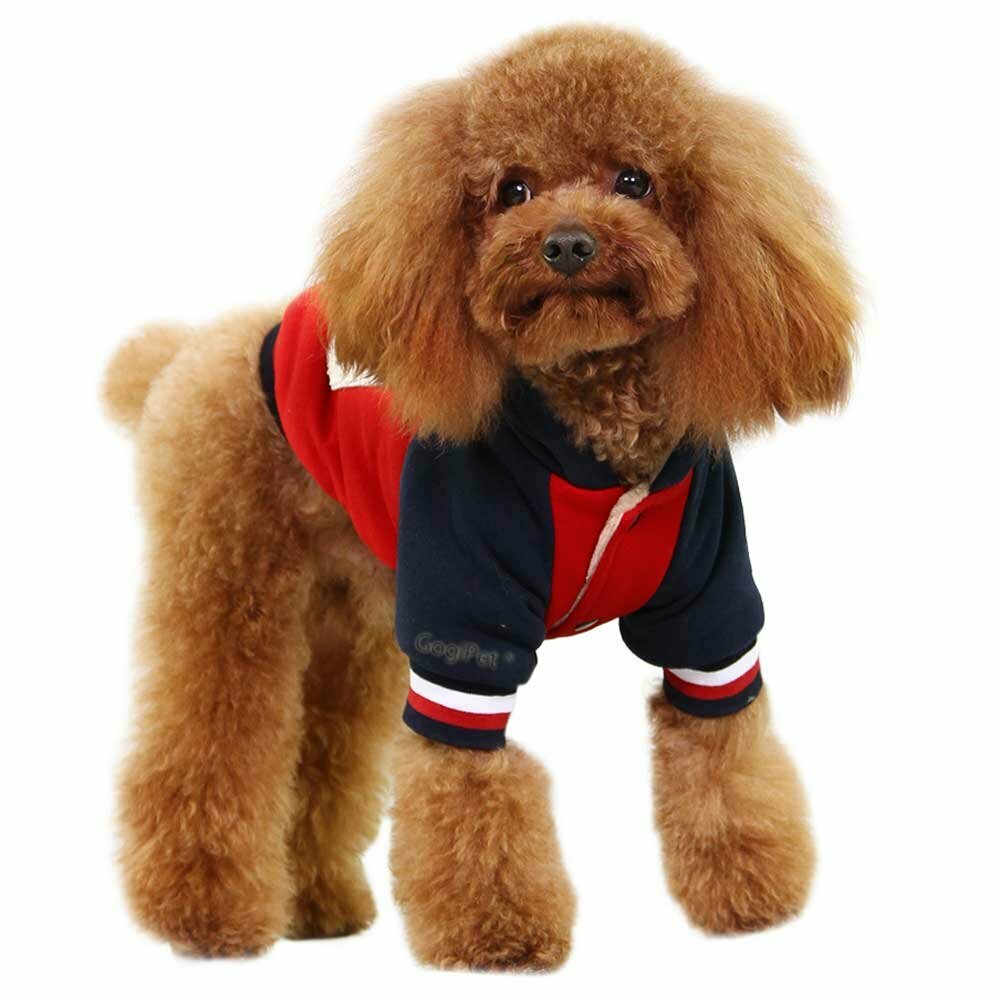 GogiPet dog jacket red - warm Baseball dog jacket for winter