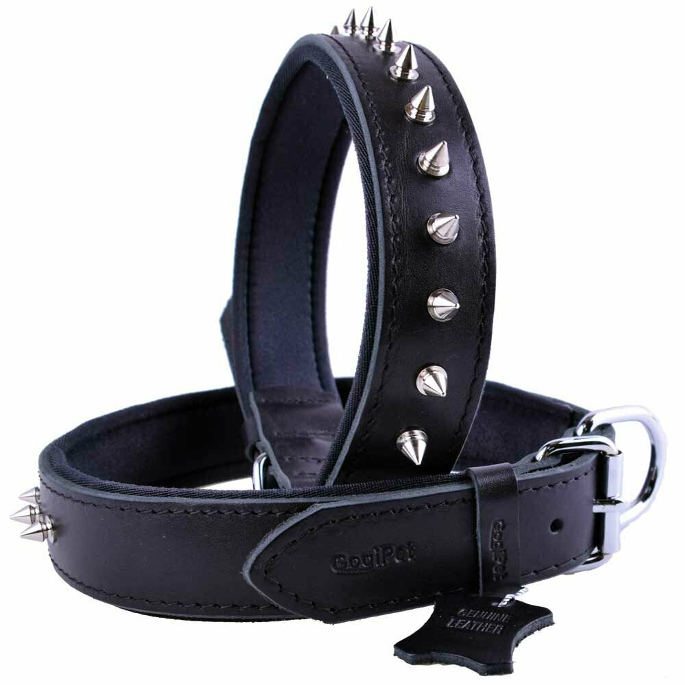 Spike leather dog collar 70 cm black