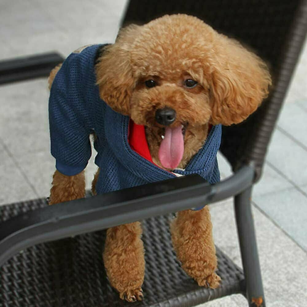 Very warm dog clothes - carnival costume for dogs