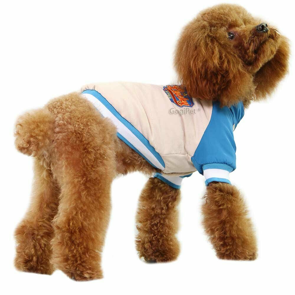 Warm dog clothes for the winter by GogiPet dog fashions