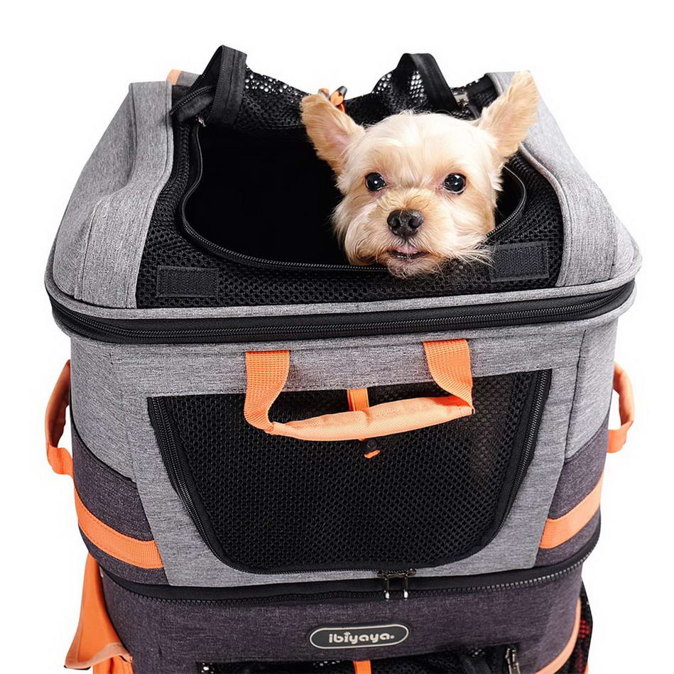 Two-level dog backpack for comfortable travel