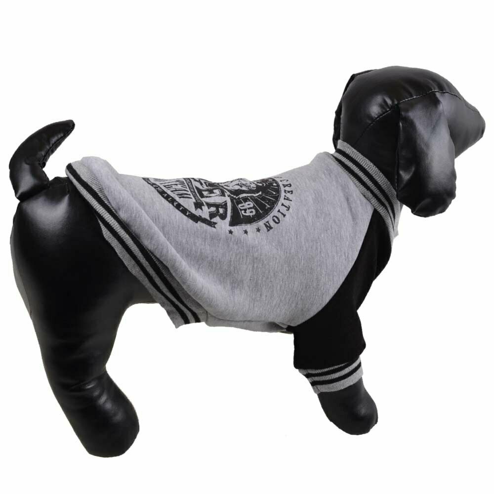Warm dog pullover by GogiPet gray