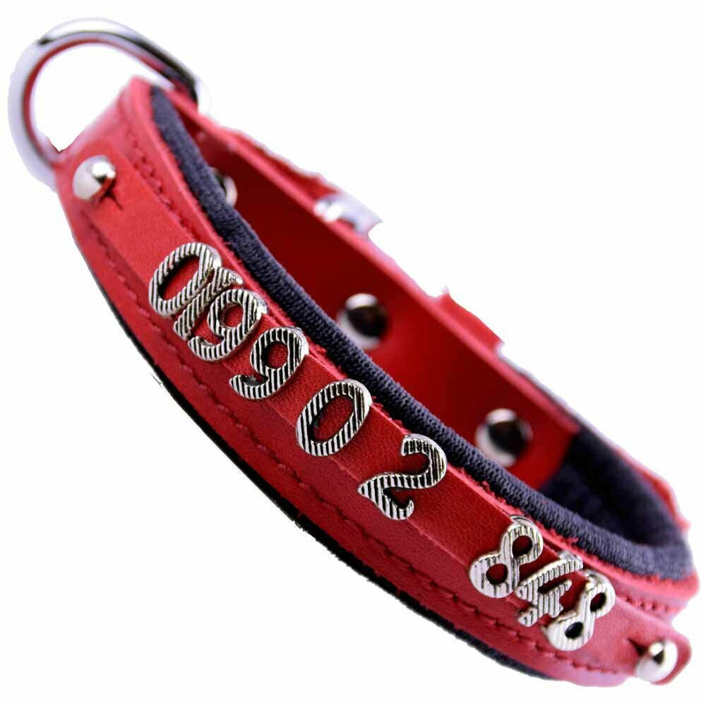 Beautiful numbers for a number or phone numbers dog collar