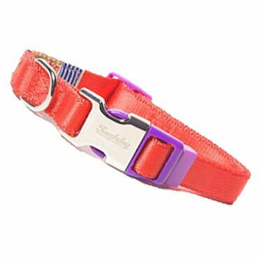 Touchdog dog collar and leash in the set peacock - red M