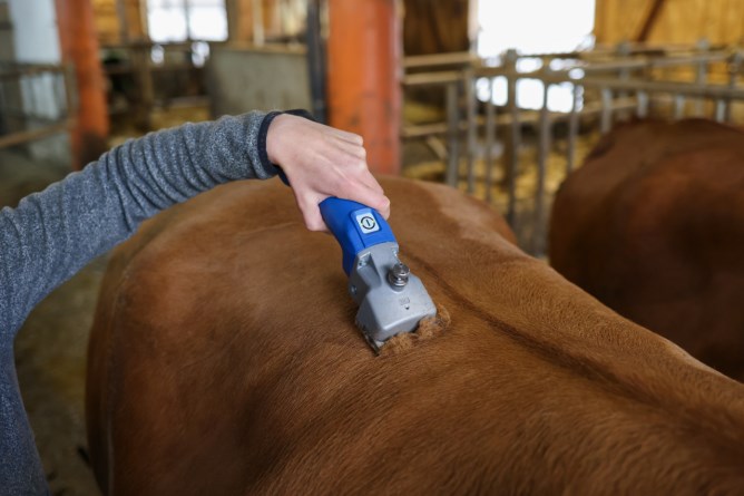 Aesculap Econom CL horse and cattle clipper cordless